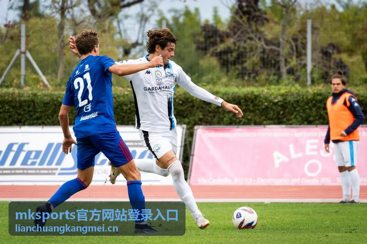 mksports官方网站登录入口官方通道识别