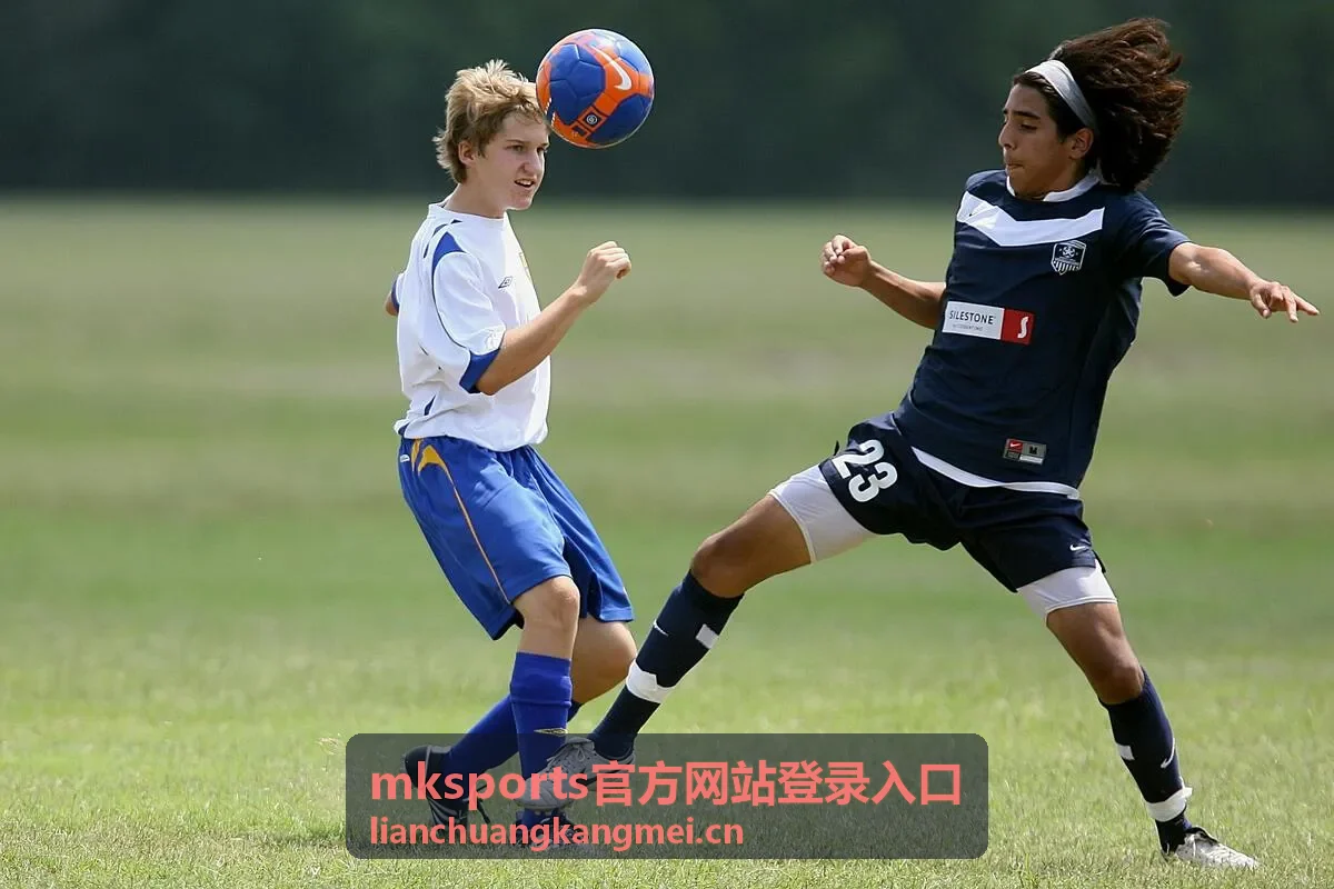 mksports官方网站登录入口异常登录应急处理