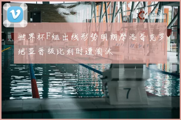 世界杯F组出线形势明朗摩洛哥克罗地亚晋级比利时遭淘汰