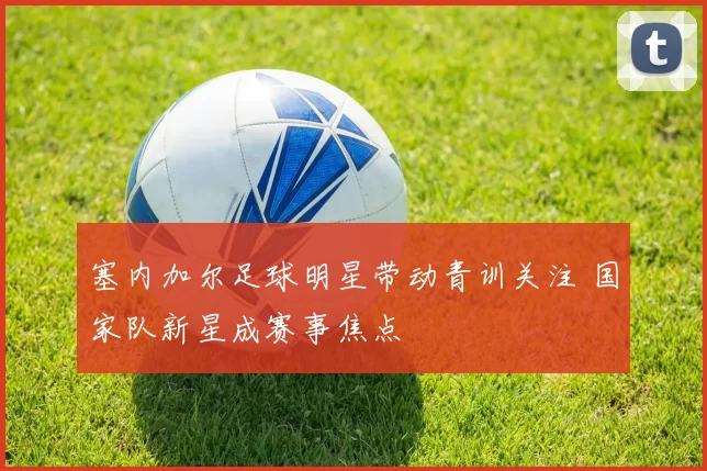 塞内加尔足球明星带动青训关注 国家队新星成赛事焦点
