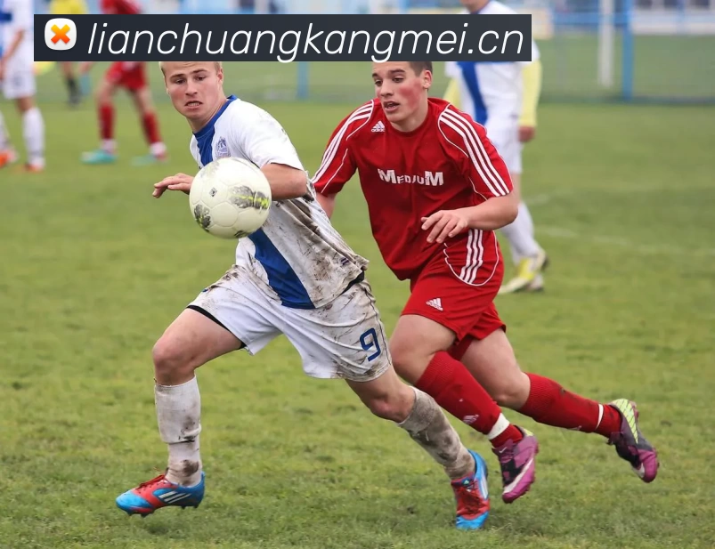 多媒体互动体验